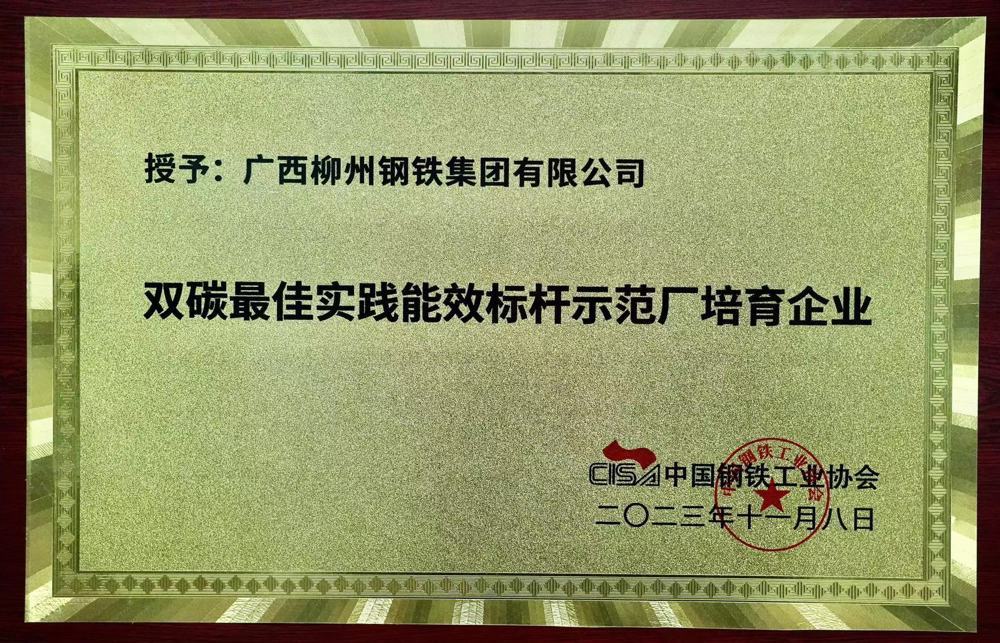 雙碳最佳實踐能效標(biāo)桿示范廠培育企業(yè)