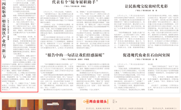 李斌委員：“四輪驅(qū)動(dòng)”塑造鋼鐵產(chǎn)業(yè)向“新”力